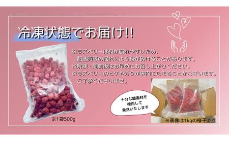 【1kg】冷凍国産ラズベリー 駒ヶ根市 フルーツ 冷凍 ラズベリー 日本産 スムージー 砂糖不使用 無糖