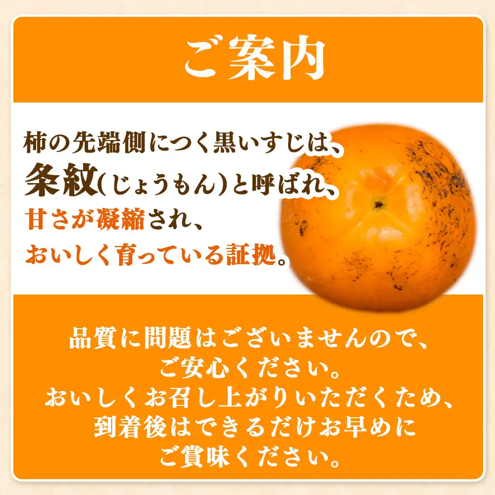 【先行予約】こだわり栽培ポット柿（太秋柿） 3Lサイズ9個入り ※離島への配送不可  ※2026年10月中旬～11月上旬頃に順次発送予定