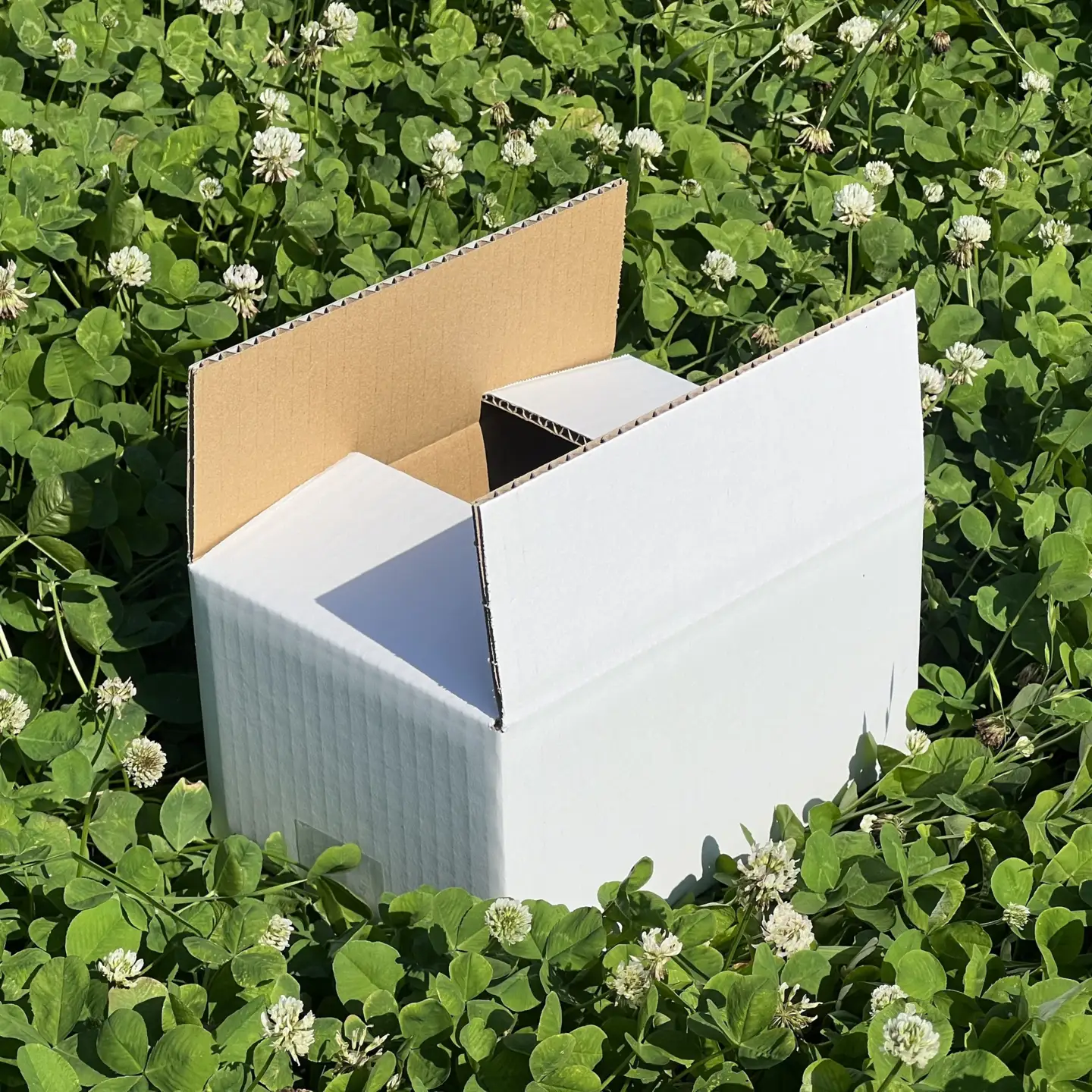 牧野果樹園　百花蜜　200g３本 |はちみつ 蜂蜜 ハチミツ はちみつ