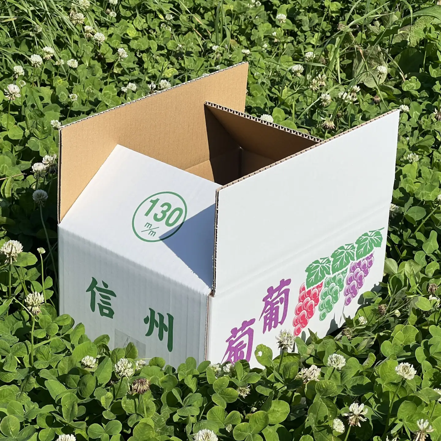 牧野果樹園　クイーンルージュ　約2kg（4～５房） |ぶどう フルーツ 果物 ぶどう
