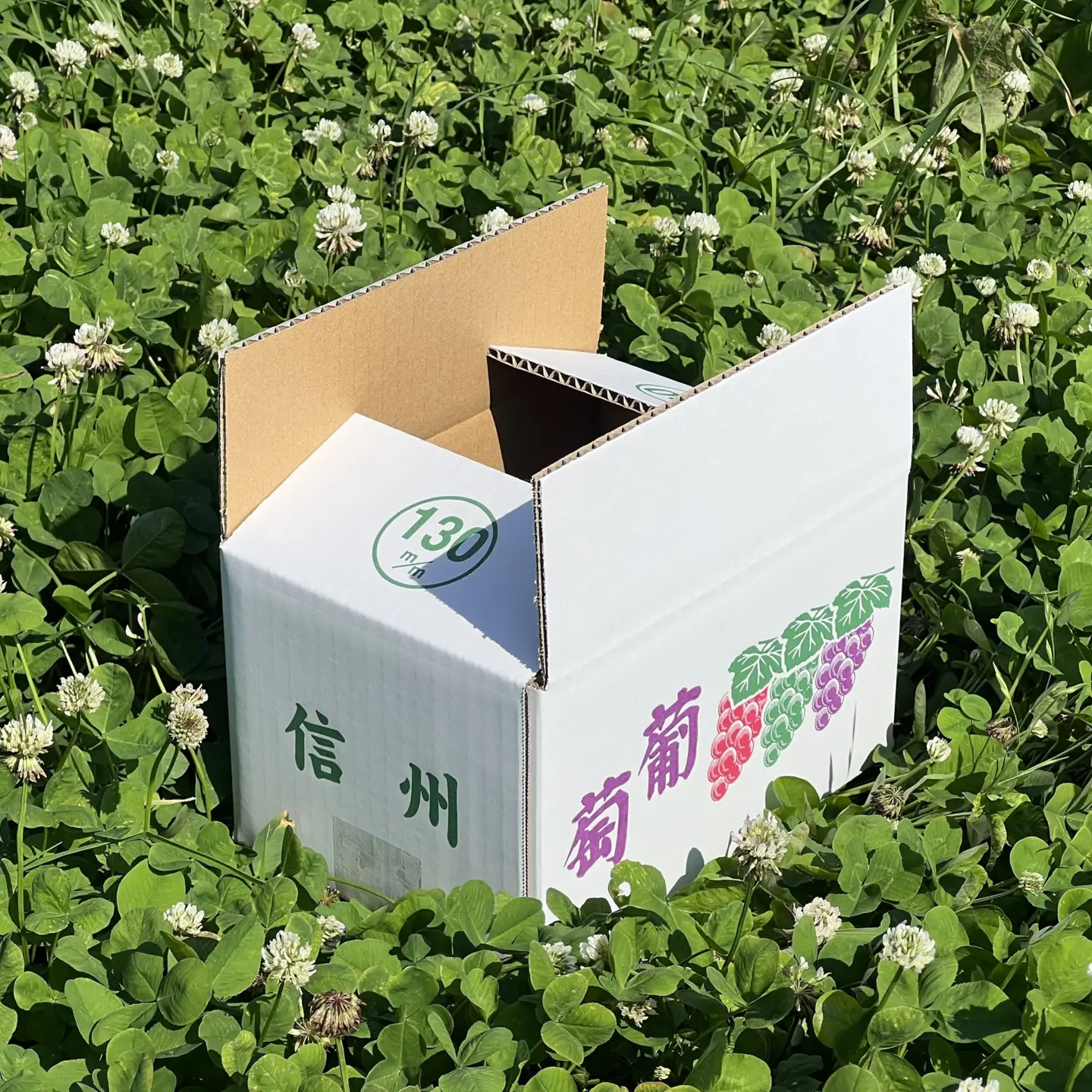 牧野果樹園　【セット】シャインマスカット、クイーンルージュセット　約1kg（2房） |ぶどう シャインマスカット フルーツ
