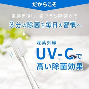 歯ブラシ除菌器 【ブルーグレー】歯ブラシスタンド 13-037