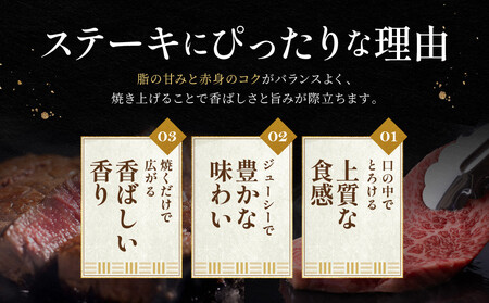神戸牛 ロースステーキ 250g×2枚 計 500g KBST5