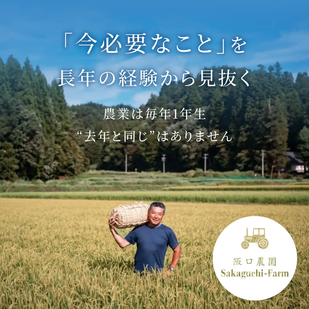特別栽培米 コシヒカリ5kg 米 / こしひかり 米 阪口農園 米 5キロ