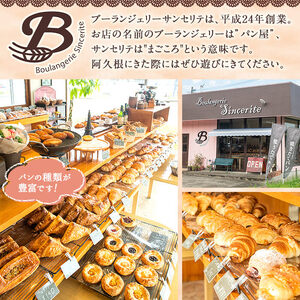 訳あり！サンセリテのもったいないパンセット (16～18個入り) ロスパン 詰合せ 詰め合わせ セット 冷凍 冷凍パン 訳アリ ランダム おまかせ お楽しみ フードロス 食べ比べ 菓子パン フランスパン デニッシュ 【ブーランジェリーサンセリテ】akn048-06