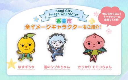 香美市イメージキャラクターピンバッジ（瀧のシブキちゃん） ピンバッジ バッジ やなせたかし やなせたかし先生デザイン 香美市限定 ふるさと納税限定 高知県 香美市
