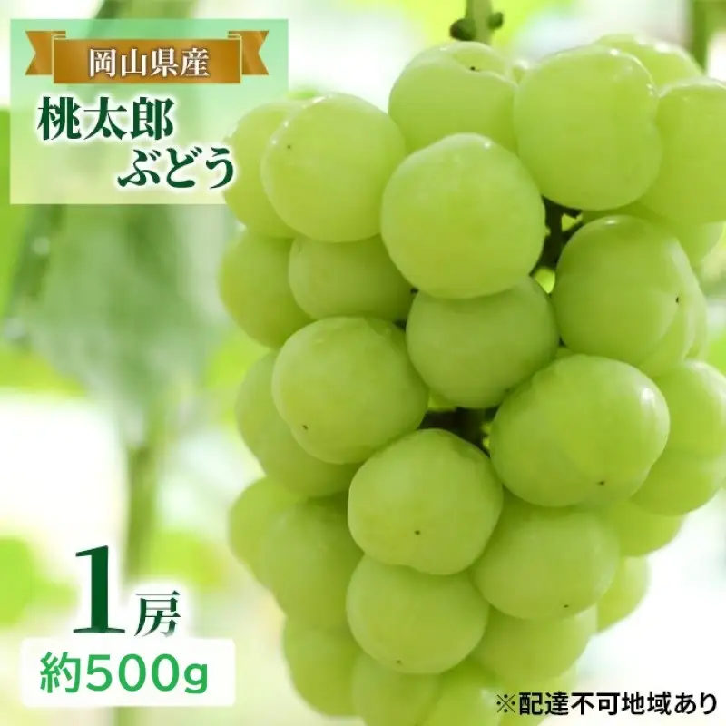 フルーツ定期便 白桃 桃太郎ぶどう シャインマスカット 岡山県産 フルーツ定期便【3回コース】【先行予約】