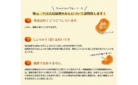 三ケ日みかん 青島【秀品】Lサイズ4kg(30個前後) ミカン 果物 くだもの フルーツ 甘い 果物類 柑橘類 静岡 浜松市【配送不可：北海道・沖縄・離島】