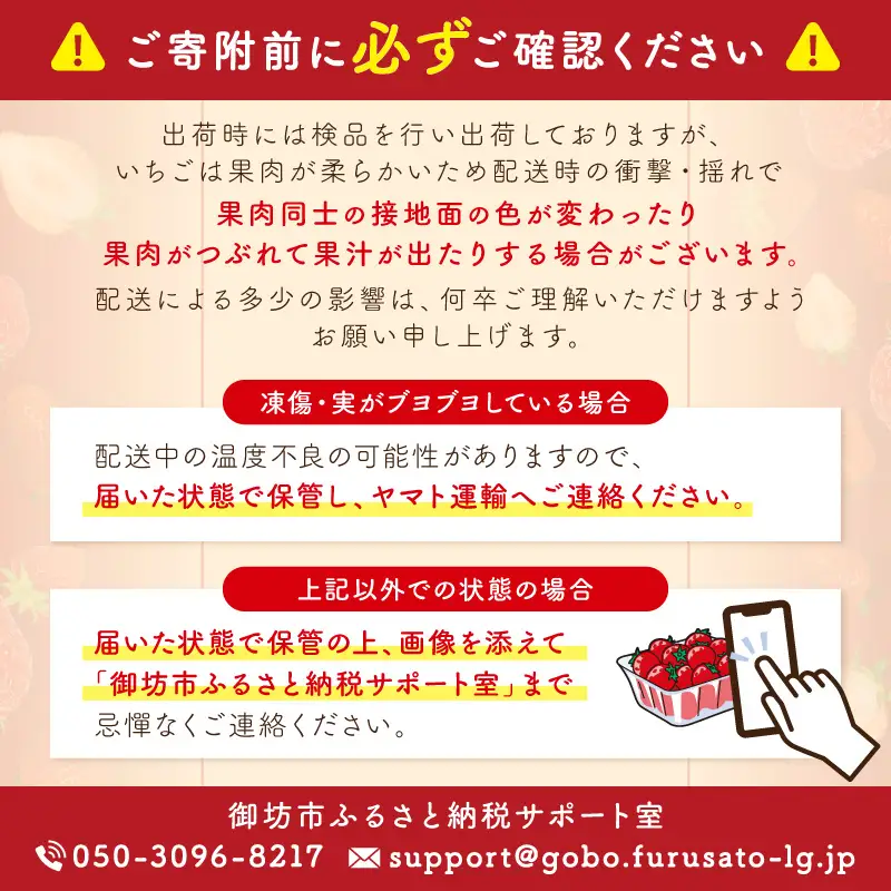 和歌山生まれのイチゴ（まりひめ）大粒2パック12月発送分《先行予約》いちご【0049-4】
