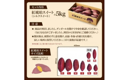 【大きめ（M-2L）】 紅琥珀スイート （シルクスイート） 約5kg箱 さつまいも 芋 サツマイモ いも イモ しるくすいーと 熊本県 西原村 【2026年12月上旬～2027年2月下旬発送予定】