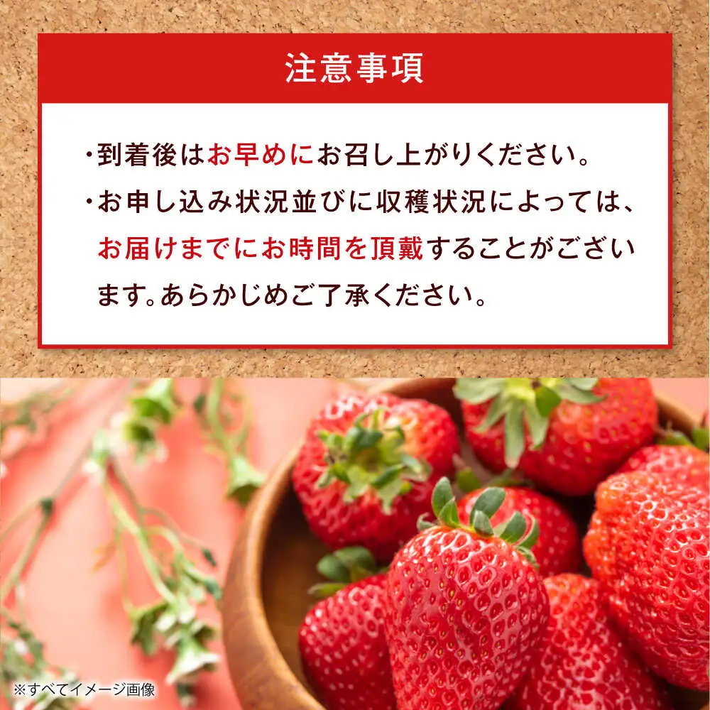 【いちご】いちご 約1kg [AGBN054]