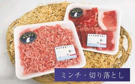 【年12回定期便】 香心ポーク を年中味わえる 満喫 セット (N3A1) 計4パック×12回 豚肉 ロース 肩ロース バラ 切り落とし ミンチ ウインナー ソーセージ ハム ベーコン サラミ