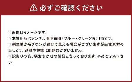 シングル 羽毛肌掛け ふとん （ ダウン85% ・ 充填量300g ・ ブルー ・ グリーン系 ）  訳あり 柄おまかせ 洗える 羽毛ふとん 羽毛布団 収納ケース付き季節 ダウンケット インナーケット お昼寝用 布団 福岡県 筑後市