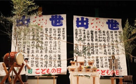 おめでとう！初節句出世凧申込権 BKBF007 凧
