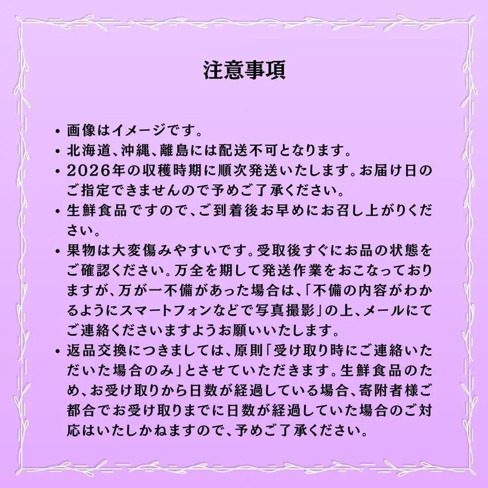 【2026年発送 先行予約】【梅村ファーム】朝摘み直送 ピオーネ（3～5房入り 約2.0kg）【030-a021】