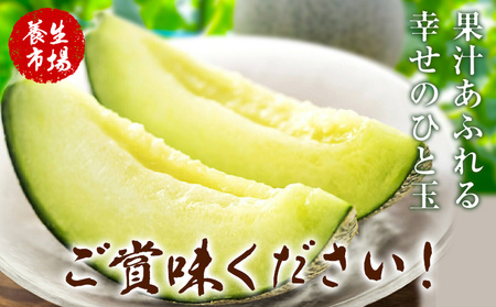 肥後グリーンメロン 約2-2.4kg×2玉【養生市場】 有限会社七城町特産品センター熊本県 菊池市 メロン グリーンメロン 果物 フルーツ 熊本県産 送料無料