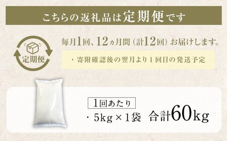 【12回定期便】 筑後の実り 5kg×12回 定期便 米 白米 ブレンド ご飯 国産 贈り物 定期便 福岡県 筑後市