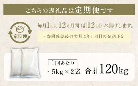 【12回定期便】 筑後の実り 10kg×12回 定期便  米 白米 ブレンド ご飯 国産 贈り物 定期便 福岡県 筑後市