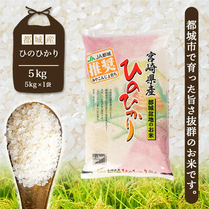 都城産ひのひかり5kg(5kg×1袋)〔AA-15-005-5kg〕_(都城市) 令和7年産 都城産 お米 5kg ひのひかり