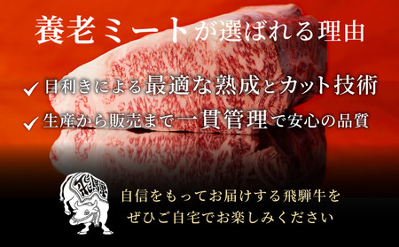 【最短発送】 飛騨牛 最高5等級 シャトーブリアン ステーキ用 300g(150g×2枚) 牛肉 和牛 肉 ステーキ ヒレ フィレ 最高級部位 赤身 肉 牛 牛肉 鉄板焼き お祝い 贈答 ギフト 贈り物 ふるさと納税 東白川村 岐阜 贅沢 霜降り 養老ミート