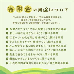 レトルトゆで落花生70g(10袋セット)北海道士幌町【GN02】
