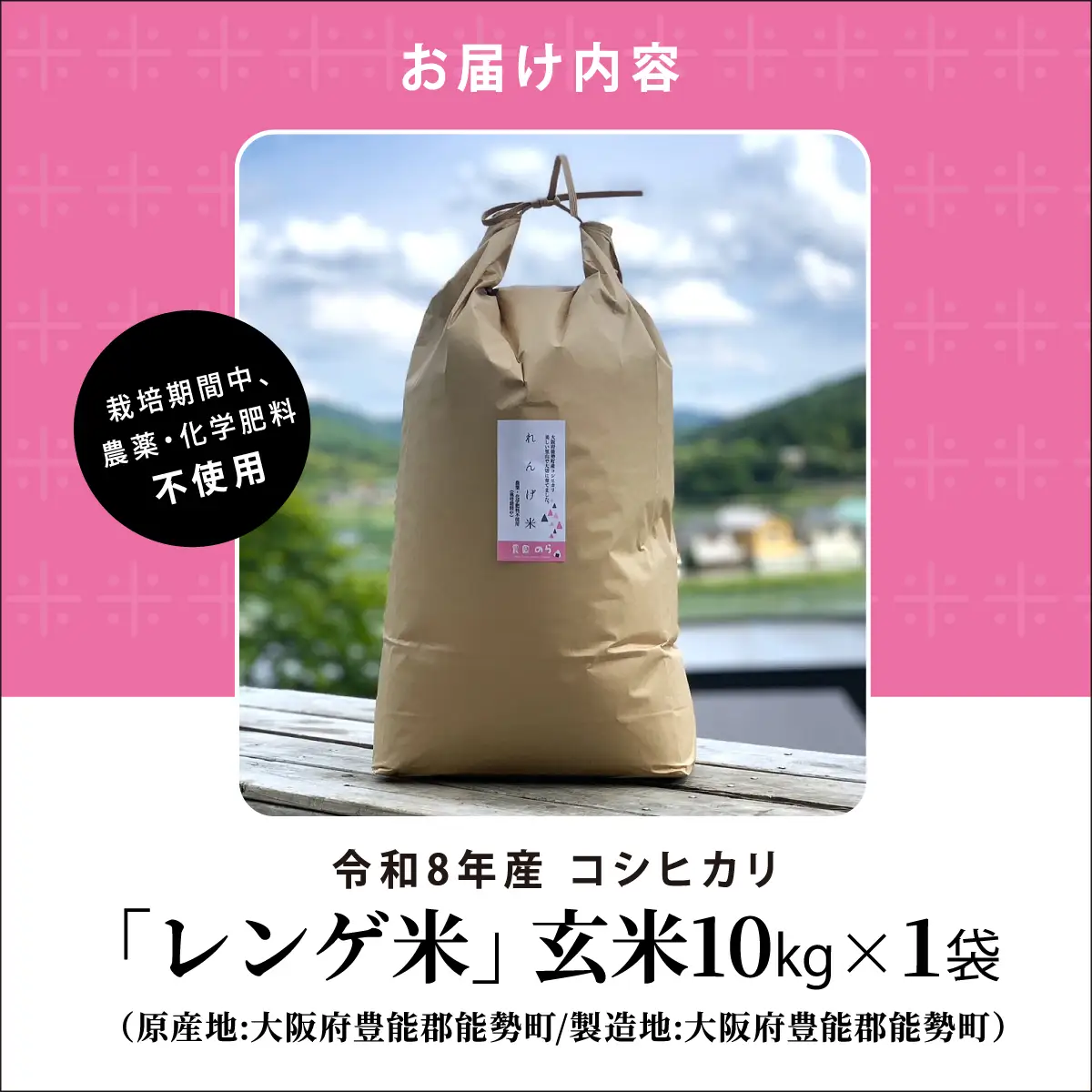 《予約受付中》令和8年産コシヒカリ「レンゲ米」玄米10kg (栽培期間中農薬・化学肥料不使用) | 農園のら | 米 玄米 10kg コシヒカリ 中農薬 化学肥料不使用 自然栽培 特別栽培 | おにぎり 弁当 産地直送 | 大阪府 能勢町 送料無料