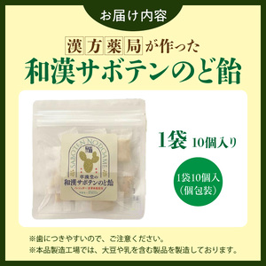 和漢サボテンのど飴 1袋 和漢 サボテン のど飴 草漢堂 オリジナル サボテンパウダー入り ノンシュガー 着色料不使用 個包装 島川あめ店 コラボ 飴 キャンディー おかし お取り寄せ 愛知県 小牧市 送料無料 [103S12]