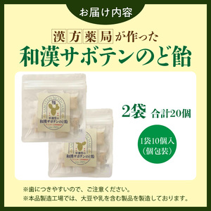 和漢サボテンのど飴 2袋 和漢 サボテン のど飴 草漢堂 オリジナル サボテンパウダー入り ノンシュガー 着色料不使用 個包装 島川あめ店 コラボ 飴 キャンディー おかし お取り寄せ 愛知県 小牧市 送料無料 [103S13]