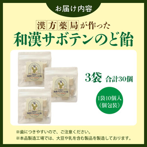 和漢サボテンのど飴 3袋 和漢 サボテン のど飴 草漢堂 オリジナル サボテンパウダー入り ノンシュガー 着色料不使用 個包装 島川あめ店 コラボ 飴 キャンディー おかし お取り寄せ 愛知県 小牧市 送料無料 [103S14]