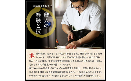 【2026年8月上旬より順次発送】【定期便３回】国産うなぎ長蒲焼（100～119g）2尾セット ITI優秀味覚賞受賞 たれ・山椒付き ウナギ 鰻 静岡 浜松市 【配送不可：離島】