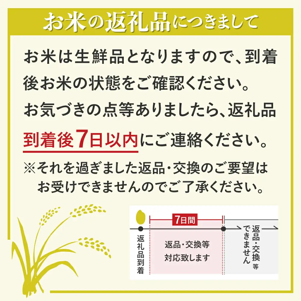 【玄米】 600g 飛騨産 コシヒカリ / 米 お米 約4合 清水農園 [DU009-26]