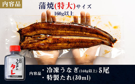 【期間限定】三河一色産うなぎ蒲焼特大5尾(計800g以上)・R045-35