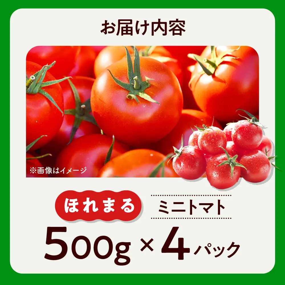  ミニトマト ほれまる 500g×4パック [AJAJ012] トマト 夏