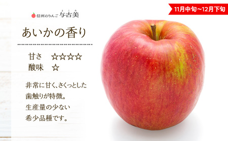 りんご あいかの香り 約3kg セット 2026年 令和8年度発送分 リンゴ 林檎 長野 フルーツ 果物 信州産 長野県産 特産 産地直送 おすすめ