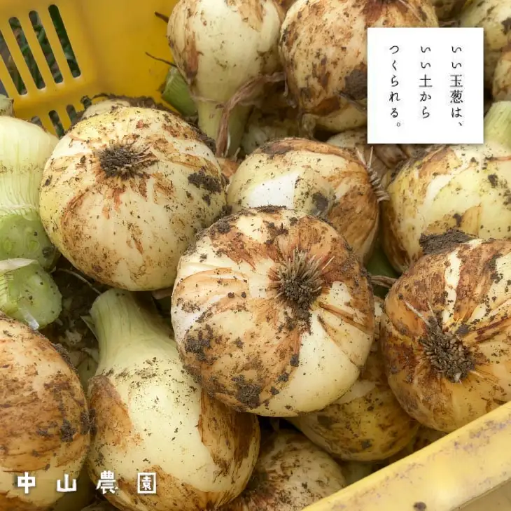 【新玉予約！】中山さんちから直送 淡路島たまねぎ５㎏　◆R9.3月下旬～発送