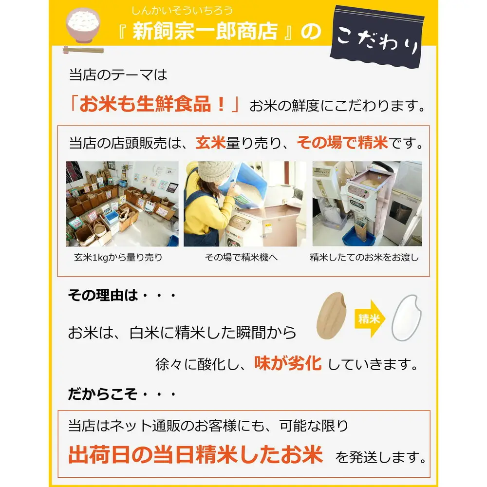 福岡県産 夢つくし10kg (5kg×2袋) (令和7年産)
