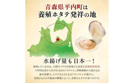 青森県産 冷凍帆立貝柱・冷凍ベビー帆立 (大) ・冷凍ベビー帆立 (小) 3種詰合せ 各1kg 合計3kg【ハケタ水産】 F21J-214