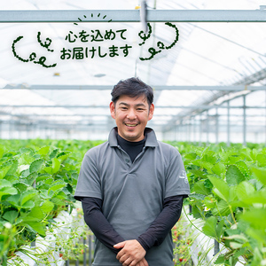 ＜10月1日から先行予約受付開始！＞＜2027年1月上旬～3月下旬の間に発送予定＞大粒いちご(計約560g・280g×2P)苺 イチゴ フルーツ 果物 くだもの 果実 ベリーツ【117900400】【Farm U.S.A.】