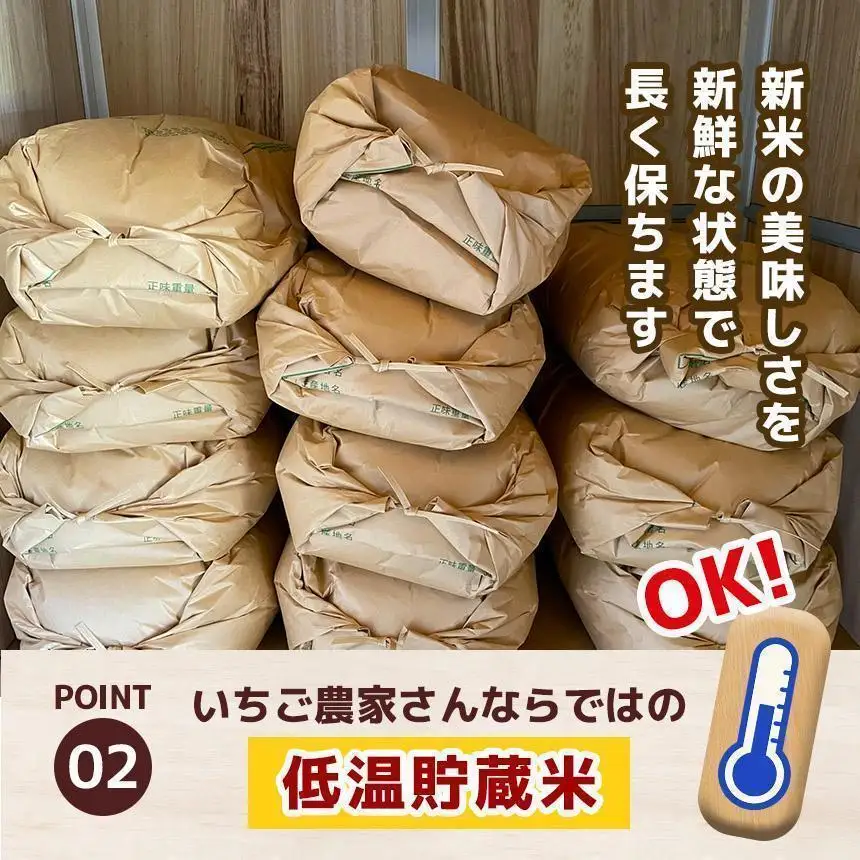 【定期便3回】栃木県産 ミルキークイーン 白米 4kg 2026年 先行予約 | 栃木県 矢板市