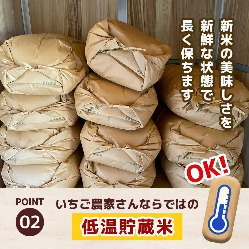 【定期便3回】栃木県産 ミルキークイーン 白米 5kg 2026年 先行予約 | 栃木県 矢板市