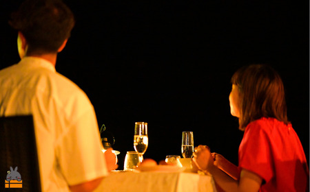 星降るレストラン TOKUNOSHIMA DINNER お食事券 （3月15日 日曜日 開催 1名様） ( レストラン 食事券 道の駅とくのしま 星空 ディナー 徳之島 奄美 徳之島町ふるさと納税限定 )
