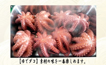 明石ダコのたこくらべセット