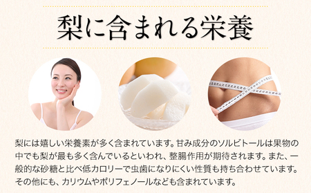 くまもと梨 約5kg 梨 熊本県産　《8月下旬-11月中旬頃出荷予定》