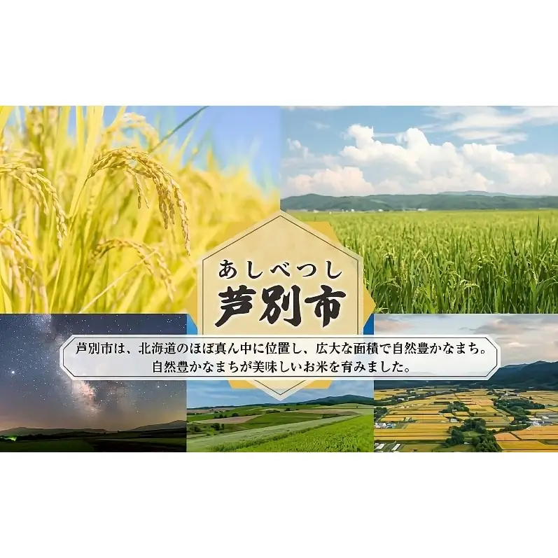 北海道芦別市産 とうもろこし ミルキースイーツ 10～12本 朝採れ とうもろこし