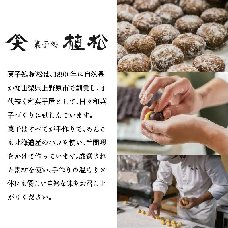 【ふるなびWEEK対象】＼人気 和菓子／ 名菓 あんどうなつ（10個 ）