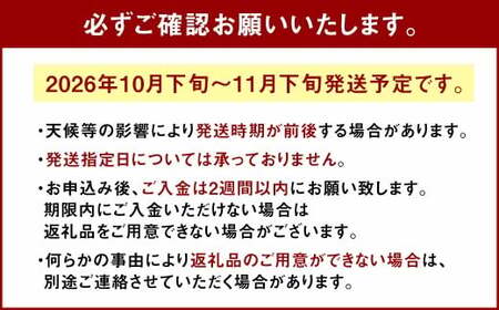 秋のフルーツの王様 ブランド柿 「 秋王 」 化粧箱 約1.75kg 6個入り【2026年10月下旬～11月下旬発送予定】