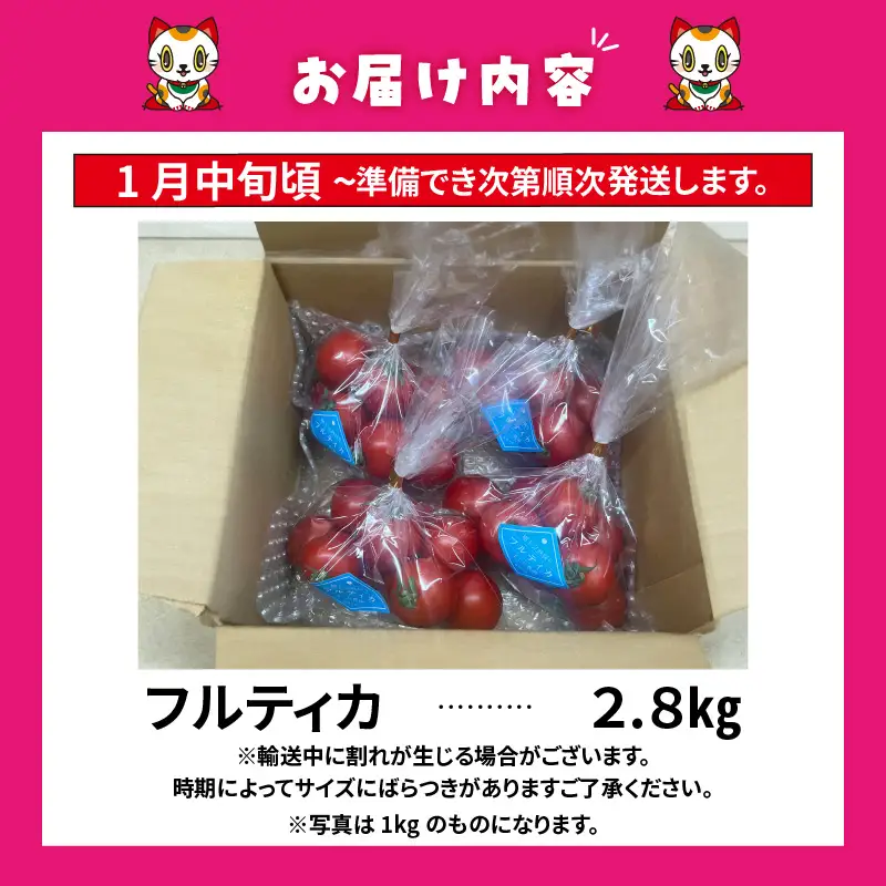【先行予約】【2027年1月中旬以降発送】フルーツトマト　中玉フルティカ2.8kg│よこた農園 フルティカ 野菜 トマト 新鮮野菜 太陽の恵み 中玉トマト トマト料理 愛知県産 フルーツとまと 甘いトマト お取り寄せ グルメ 常滑市