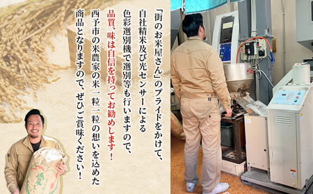 ＜令和7年産 西予市産 にこまる 精米 約5kg＞ ニコマル お米 米 コメ こめ 白米 国産米 単一原料米 ご飯 5キロ お弁当 おにぎり 特産品 愛媛県産 株式会社宇都宮米穀 愛媛県 西予市【常温】『最短10営業日以内に順次出荷予定』NKU0007