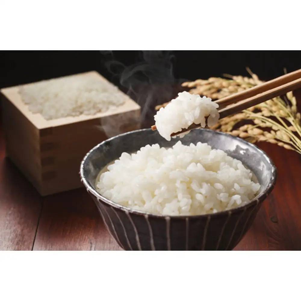 ＜令和7年産＞大上農園のきぬむすめ(精米・5kg) 【鳥取県 境港市】