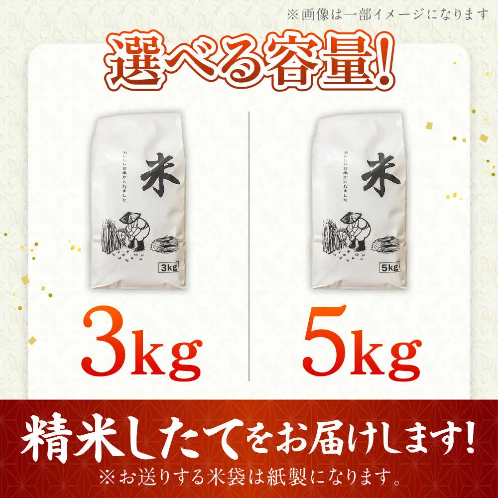 令和7年産 精米 夢つくし 5kg [ABEW001]